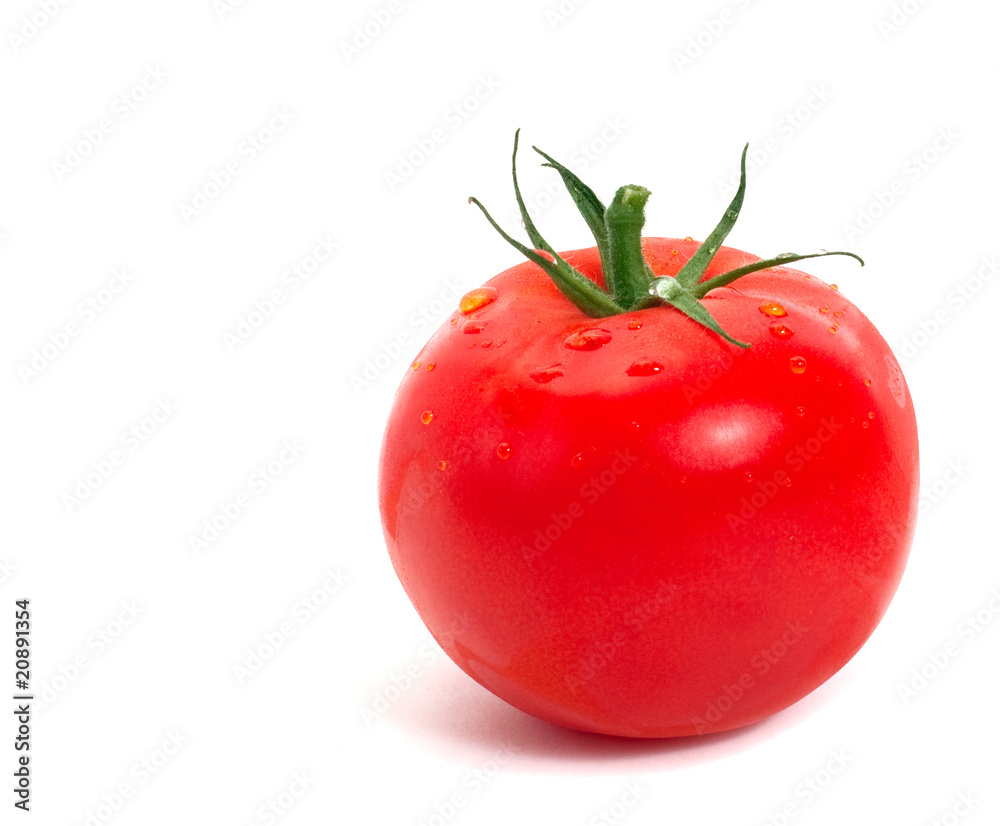 custom made wallpaper toronto digitalripe tomato