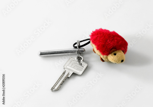 Schlüssel roter Igel