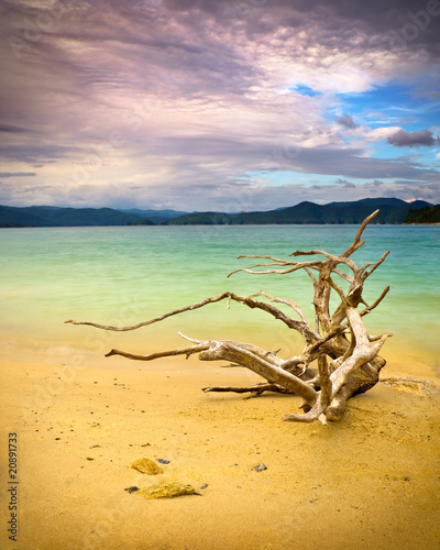 Tranquil mountain lake with driftwood on beach nature landscape