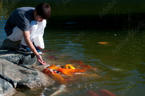 Koi Fish