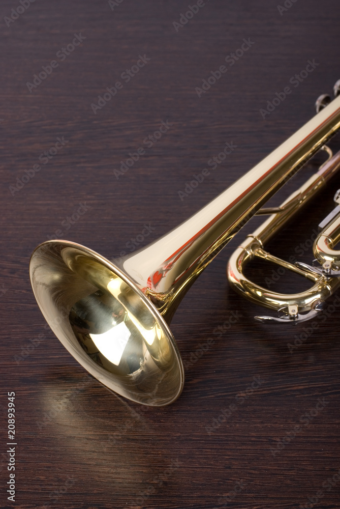 Obraz premium trumpet