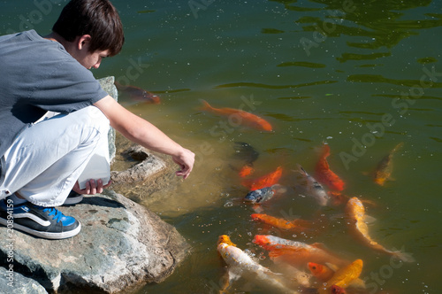 Koi Fish
