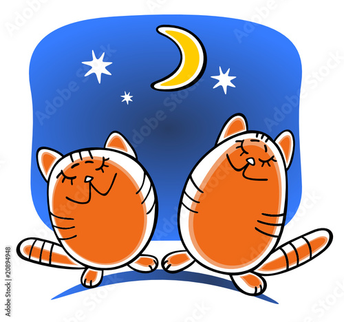 two cats