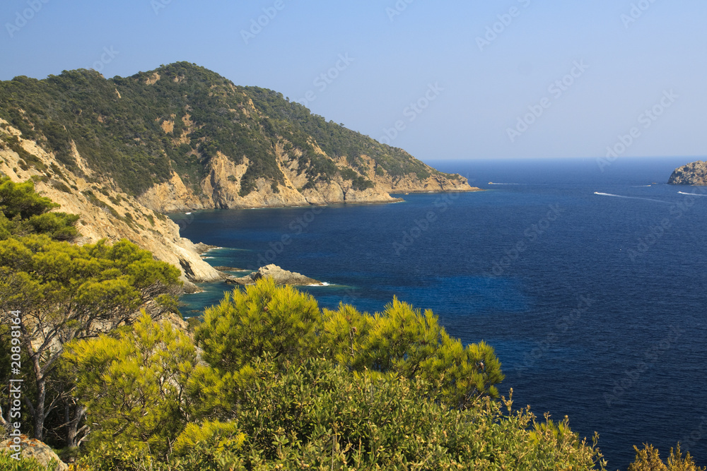 Obraz premium Crique