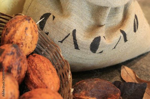 Sac de cacao et ses cabosses.