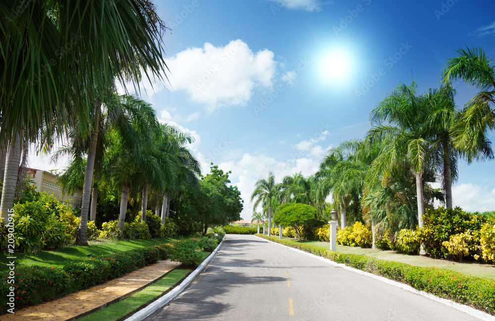 road in tropical garden