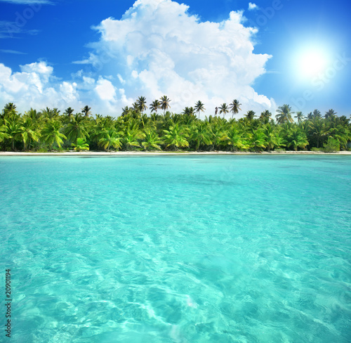 palms and caribbean sea