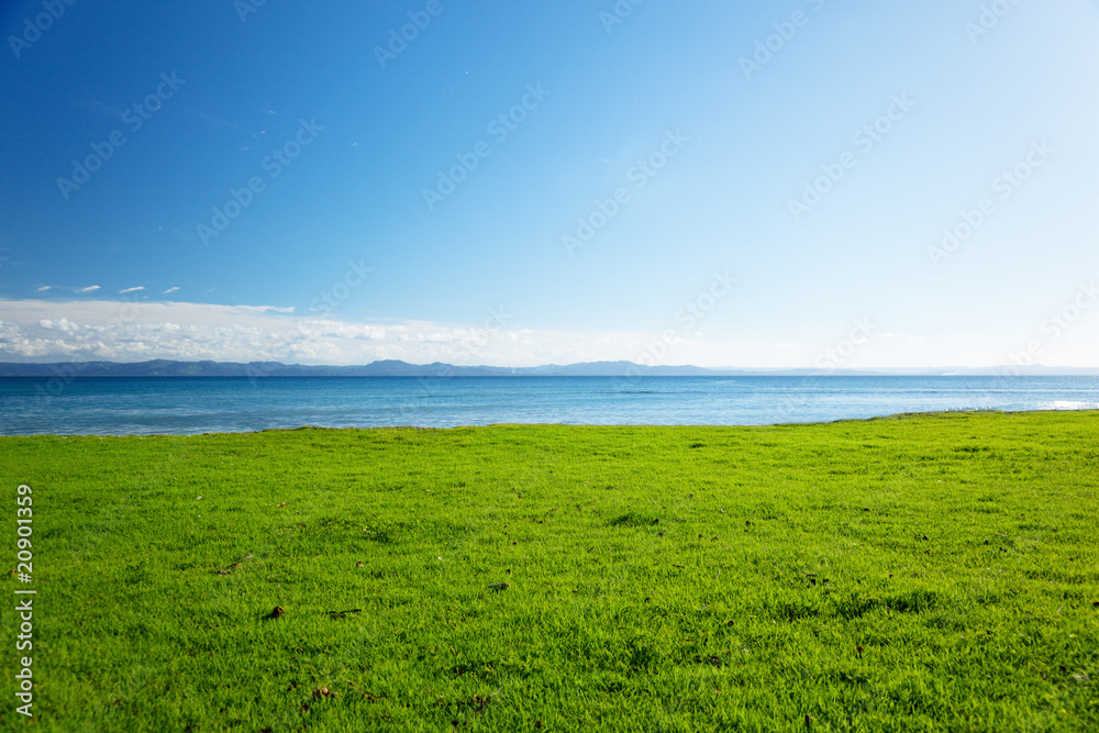 Caribbean sea and field of green grass Caribbean sea and field of green grass
