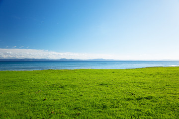 Caribbean sea and field of green grass
