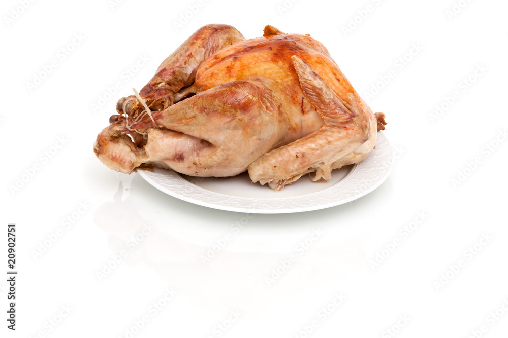 Whole turkey on white background