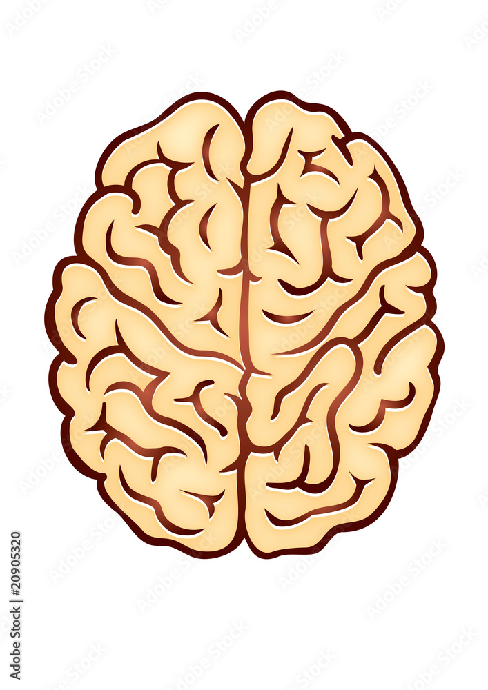 cerebro