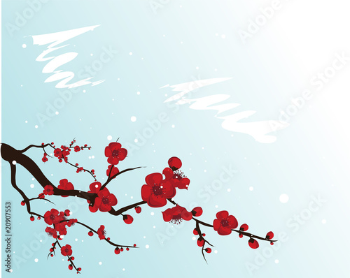 blooming plum-tree