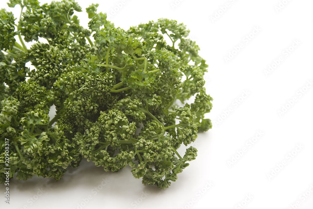 Obraz premium Petersilie als Salatgewürz