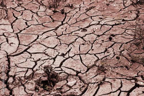 Cracked earth after drought