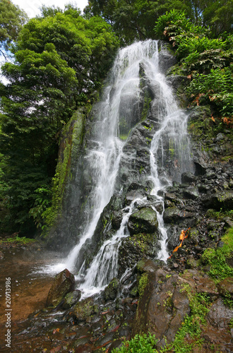 Waterfall in Sao Miguel Island - Azores -  Portugal - Europe