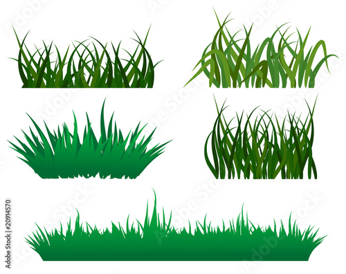 Green grass patterns