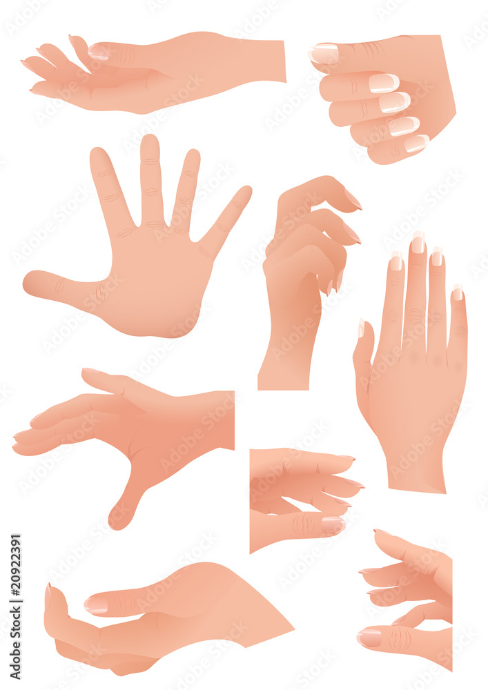 Human palm set