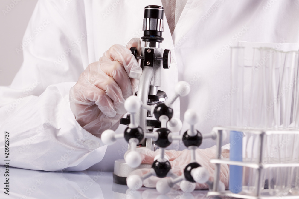 Under the microscope