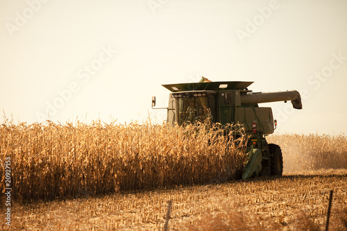 harvesting