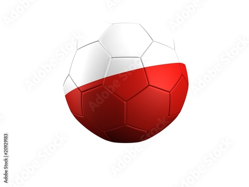 WM Fußball Polen