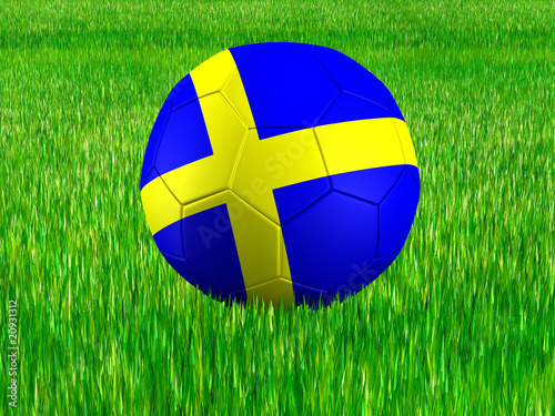 WM Football Schweden