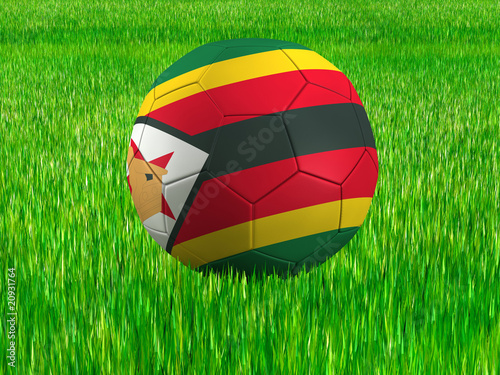 WM Football Zimbabwe