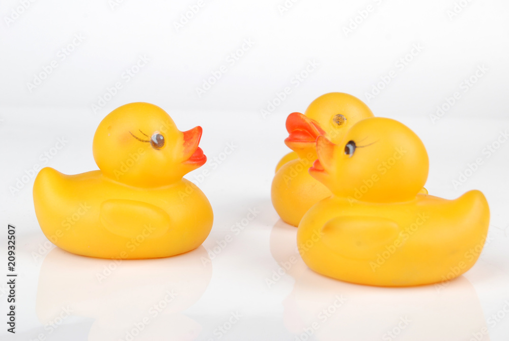 duck duck
