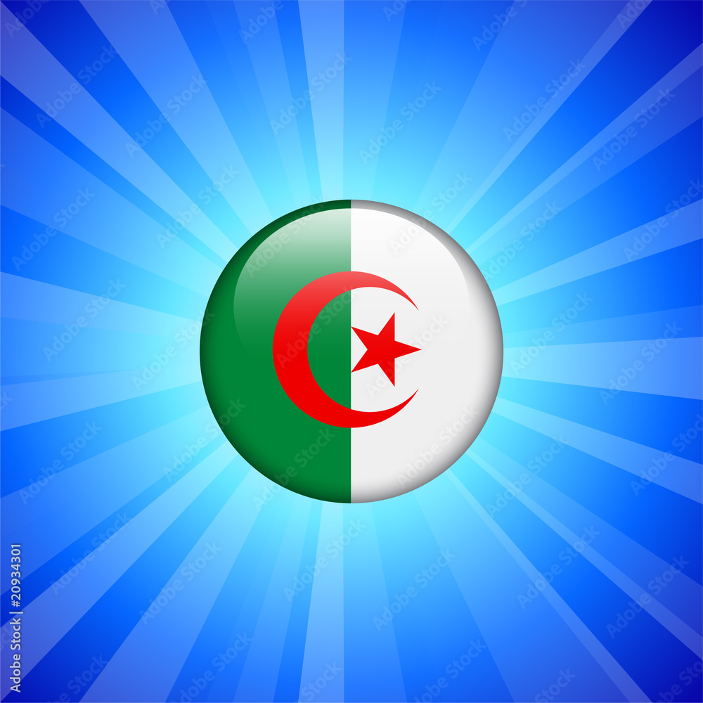 Algeria Flag Icon on Internet Button Algeria Flag Icon on Internet Button