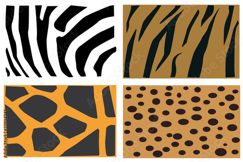 Animals fur pattern
