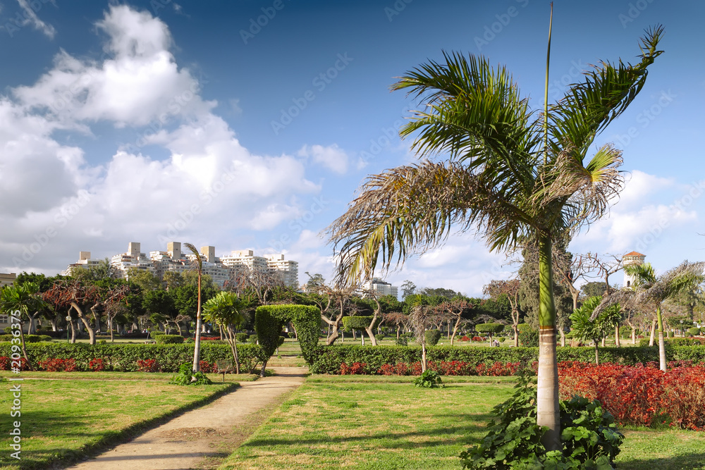 Montaza park on Montaza Palace area, in Alexandria, Egypt.