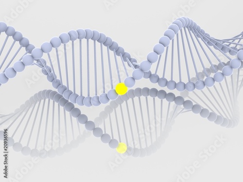 Gene in DNA