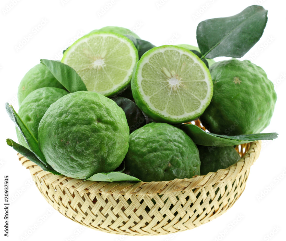 panier combavas, citrus hystrix, fond blanc panier combavas, citrus hystrix, fond blanc