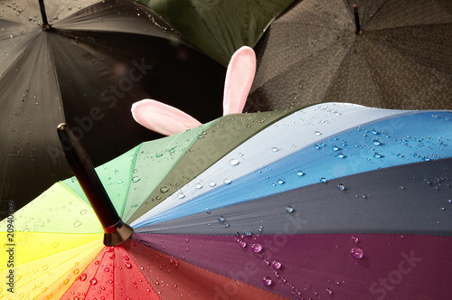 Regenschirm mit Ohren