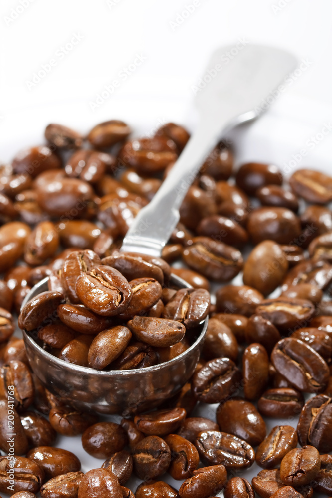 coffee beans coffee beans
