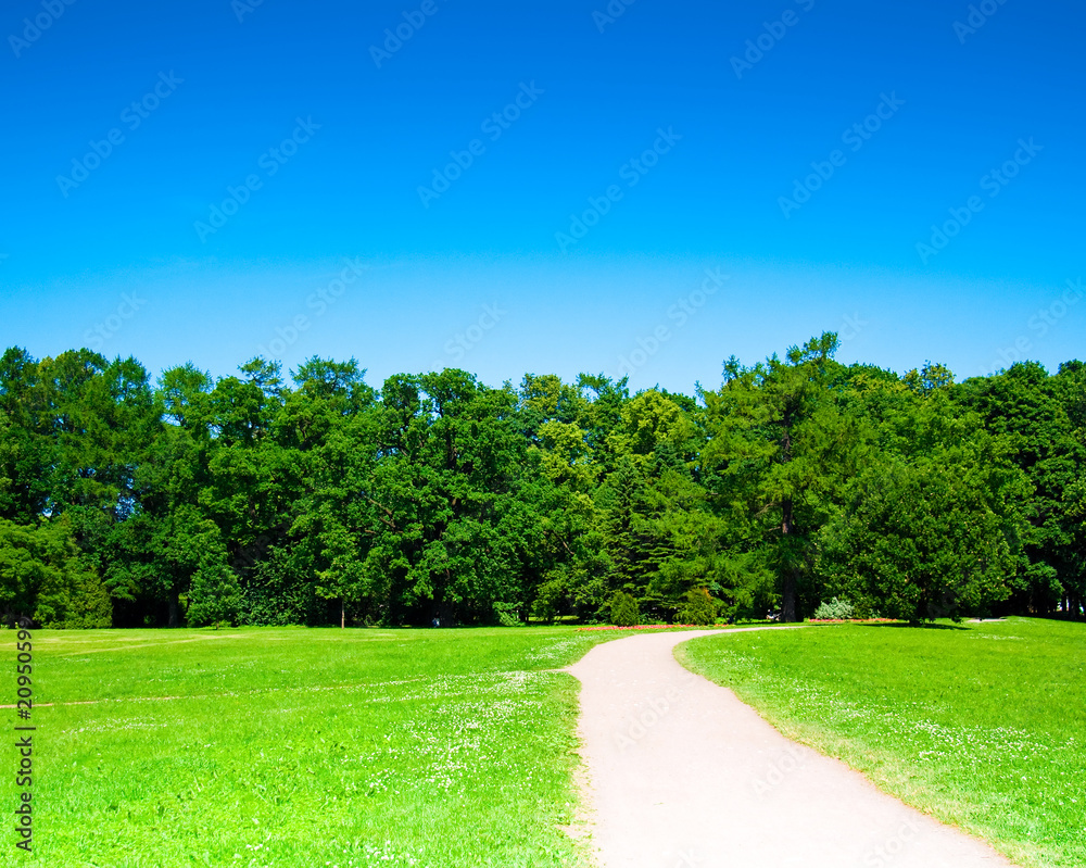 park trees park trees