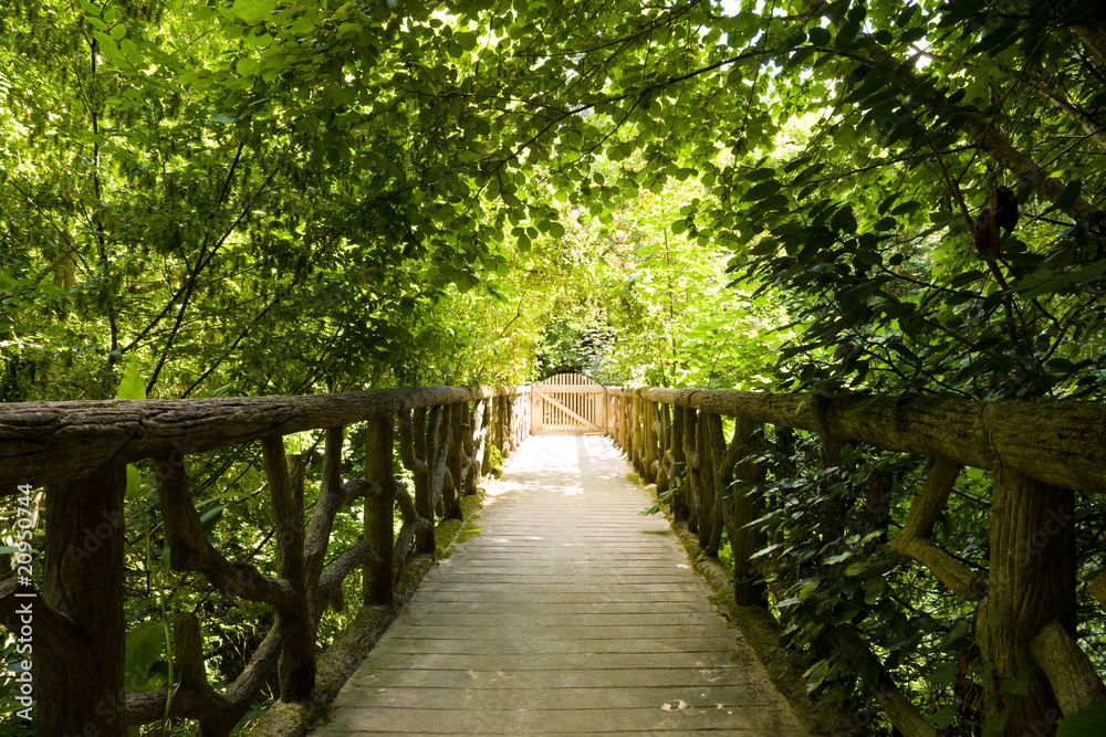 Old romantic bridge into the forest Old romantic bridge into the forest