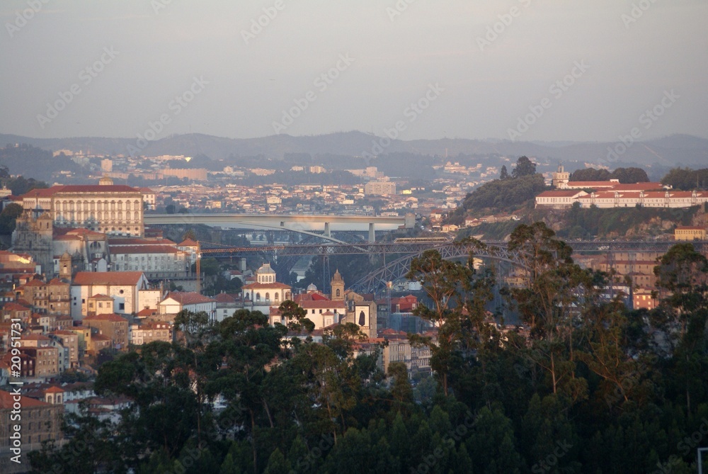 Fototapeta premium SONY DSC