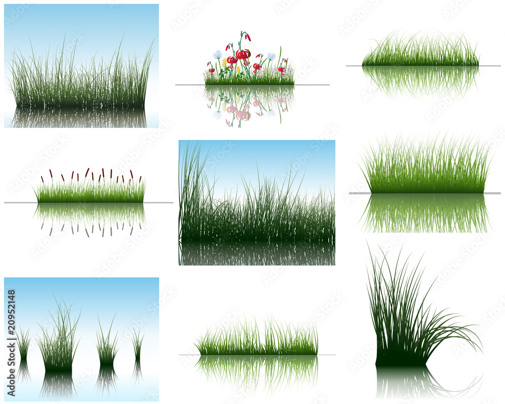 Obraz premium grass on water