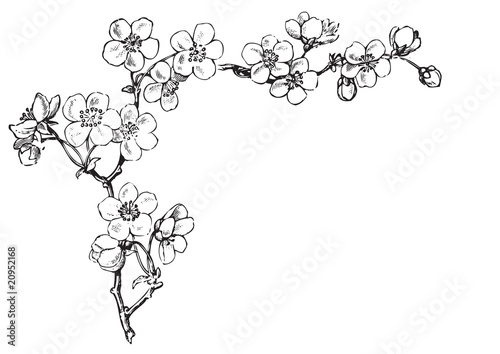 antique flowers corner engraving (vector)