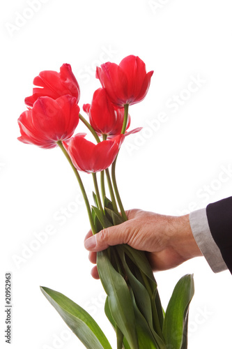 Giving Tulips