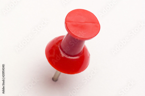 punaise rouge