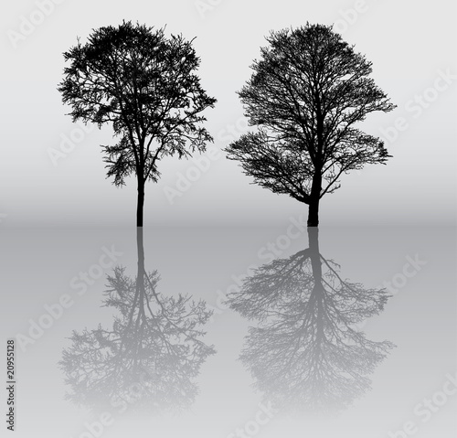 Two beautiful winter tree silhouettes, highly detailed.