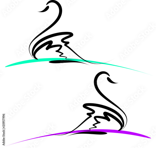 Swans