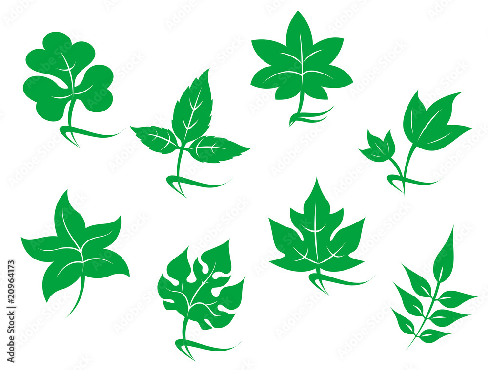 Set of leaves icons