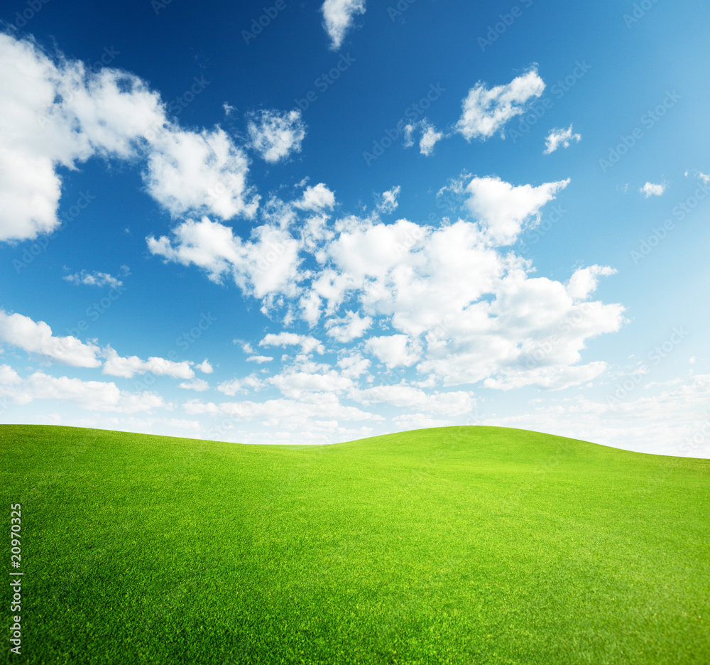 Obraz premium field of grass and perfect sunset sky