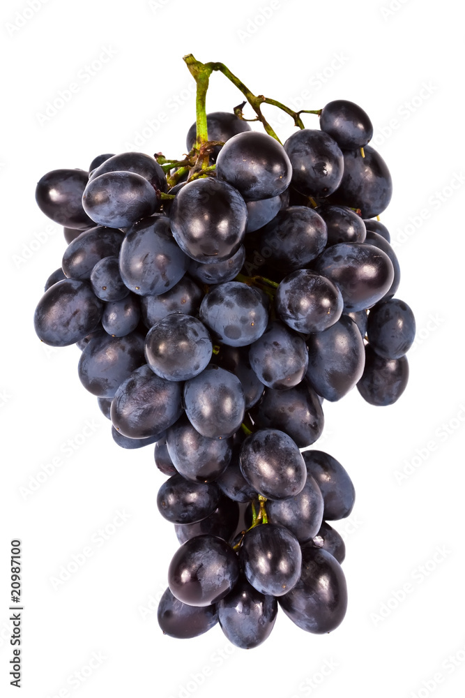 The branch of grapes isolated, on a white The branch of grapes isolated, on a white