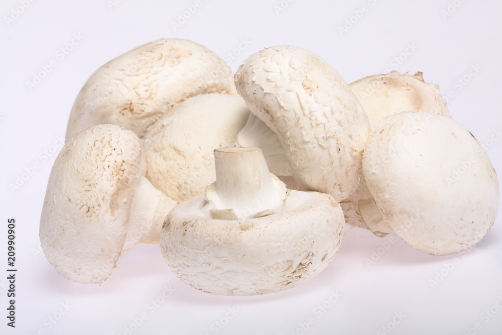ripe mushroom isolated on white background ripe mushroom isolated on white background
