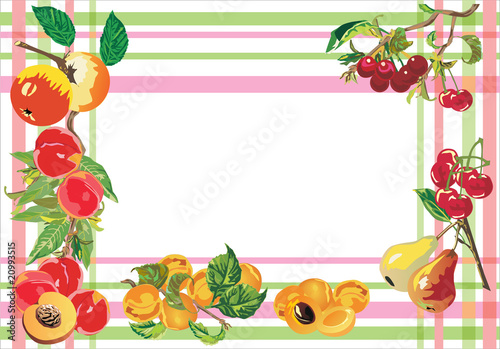 fruit frame isolated on white