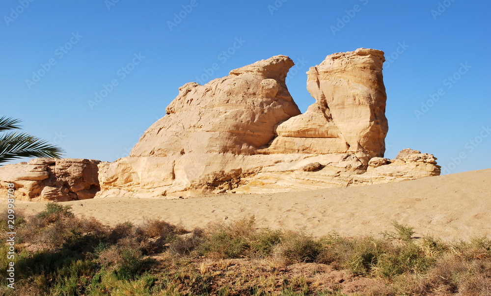 Rocher en forme de dromadaire