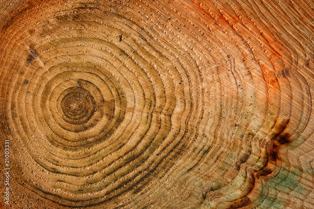 Naklejka premium wooden background with age circles